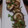 kuishinboF's cooksnap of when they made しいたけの味噌マヨ焼き☆.