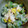 月うさ's cooksnap of when they made ☆簡単☆ササミとオクラの和え物.