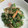 ＴＯＭＯＷＡＴ's cooksnap of when they made 切り干し大根と春菊のエゴマ和え.