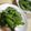 あひるの娘's cooksnap of when they made スナップエンドウの胡麻和え.
