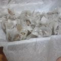 よっすんたまご's cooksnap of when they made 玉ねぎとミンチだけ☆めちゃうましゅうまい.