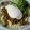 おりrinrin's cooksnap of when they made キャベツがウマイ！しょうが焼き丼.