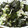 ＲＩＤＥＲ５５５'s cooksnap of when they made わかめのゆかり和え.