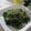 miyuki12's cooksnap of when they made ほうれん草のごま和え.