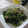 miyuki12's cooksnap of when they made ほうれん草のごま和え.