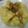 initium's cooksnap of when they made ☆発酵なし☆20分で肉まん.