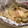 ふかとまと's cooksnap of when they made 簡単！鮭ときのこのホイル蒸し・味噌マヨ味.