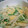 ☆★ひよこ★☆'s cooksnap of when they made シャキッとふわぁ〜水菜の卵とじ.