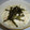 ✿オカピ✿'s cooksnap of when they made お手軽１品！えのきマヨ和え♪.
