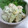 monchanママ's cooksnap of when they made アボカドとエビの和風マヨサラダ.