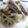 はなゆず's cooksnap of when they made シャキッ！れんこんのはさみ揚げ.