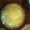 あゆみぽけっと's cooksnap of when they made 我が家の母の味お味噌汁　☆たまねぎ＆卵☆.