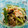 874's cooksnap of when they made 簡単Diet５６～鶏きゅうりネギ油和え.