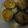 kinmaru's cooksnap of when they made 椎茸の味噌マヨチーズ焼き.