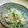 ドラちゃん♪'s cooksnap of when they made ささっと1品。もやしとツナのポン酢和え.