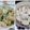 みっちゃん❇️68's cooksnap of when they made かぶと鶏挽肉のそぼろ煮.