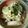 meiのﾏﾏ's cooksnap of when they made 大根のとろり鶏ミンチあんかけ☆☆.