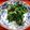 inyako's cooksnap of when they made ほうれん草胡麻たっぷりオイスター和え＊。.
