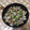ゆきママ３２'s cooksnap of when they made アサリの酒蒸し.