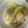 ちっひー００'s cooksnap of when they made 鶏肉と大根の炒め煮.