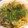 ☆がんちゃん☆'s cooksnap of when they made 母直伝☆おいしい焼きそば.