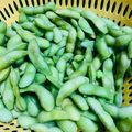 ぐ〜たらこ's cooksnap of when they made 【農家のレシピ】美味しい枝豆の茹で方.