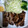 さ～か's cooksnap of when they made 我が家の和風ポークソテー.