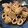 くじら食堂's cooksnap of when they made 里芋とやりいかの煮物.