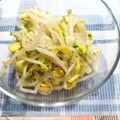 mtoy's cooksnap of when they made もやしナムル（基本形）.