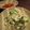 るかっち♪'s cooksnap of when they made キュウリとツナの簡単サラダ☆.