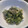 松子ＥＸ's cooksnap of when they made おかんが作る菜の花のマヨネーズ和え.