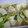 ぽぴぽぴ's cooksnap of when they made かぶのとろっとコク煮.