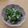 ▽▲まゆ▲▽'s cooksnap of when they made 無限ピーマン.