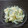 MRSRA's cooksnap of when they made いんげんと玉子のマヨ和え.