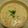 誰かご飯作って's cooksnap of when they made アサリと野菜のミルクスープ.
