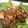 ashiz's cooksnap of when they made かじきで焼肉もどき♪.