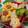 miffy77's cooksnap of when they made たけのことキャベツのおかか炒め.