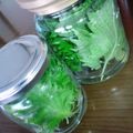 けんけんち's cooksnap of when they made すご～く長持ち！大葉の保存・・・☆.
