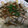むつきっき☆'s cooksnap of when they made ☆10分でできる？簡単うなぎのちらし寿司.
