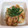 eririnn4368's cooksnap of when they made ちくわとキャベツのオイマヨ唐辛子炒め♪.
