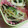 ＴＯＭＯＷＡＴ's cooksnap of when they made モヤシとピーマンの和え物.