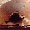 もももももももーん's cooksnap of when they made フランスあんパン♡.