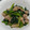 こうのとりヒロシ's cooksnap of when they made 簡単♪豚バラほうれん草のオイスター炒め.
