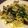 okame1224's cooksnap of when they made 菜の花とアサリのパスタ☆.