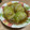 キャラメル☆♪'s cooksnap of when they made ロール白菜☆とろ～り和風あんかけ.