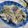 miyuki12's cooksnap of when they made なすの胡桃入り胡麻味噌和え.