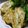 inyako's cooksnap of when they made ∞∞ 大葉 de たまご焼き ∞∞　②.
