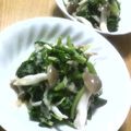 ねっちゃんっ's cooksnap of when they made さっぱり！青菜としめじのおろしポン酢.