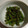 アンティーけいこ's cooksnap of when they made いんげんのおかか煮.