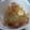 ｘsacchiｘ's cooksnap of when they made 超・簡単♫♬新玉ねぎのマヨポン✿.
